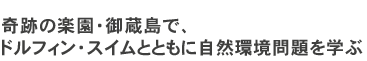 奇跡の楽園・御蔵島で、ドルフィン・スイムとともに自然環境問題を学ぶ